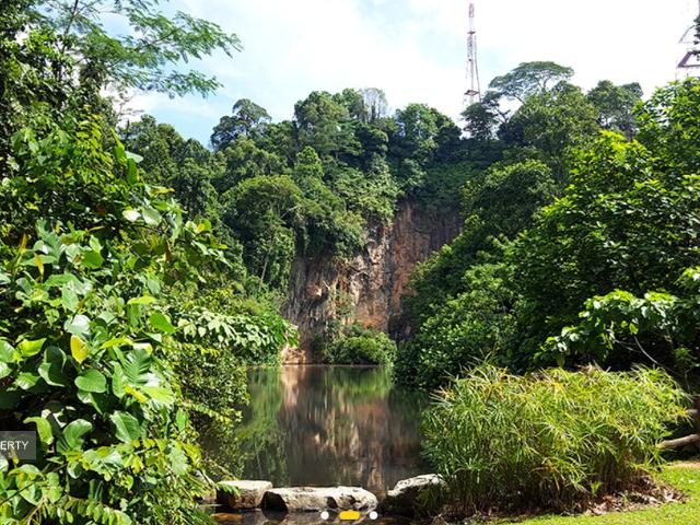 Condominium for sale in Bukit Timah, 10 Central, Tanglin