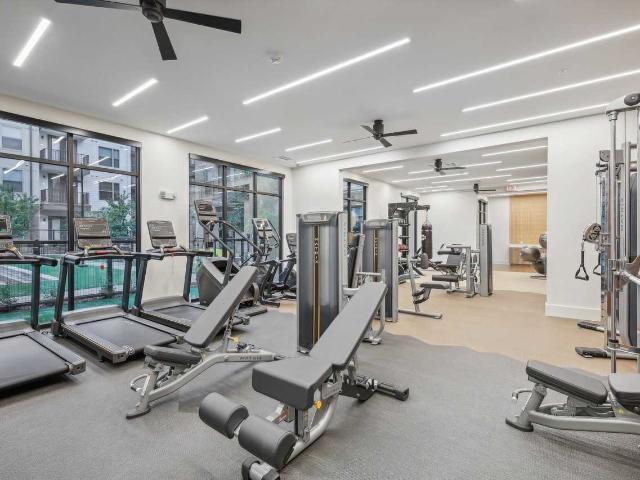 Apartment for rent in Dallas, Texas