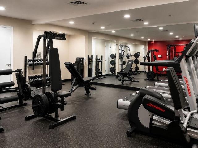 Apartment for rent in Shelton, Connecticut