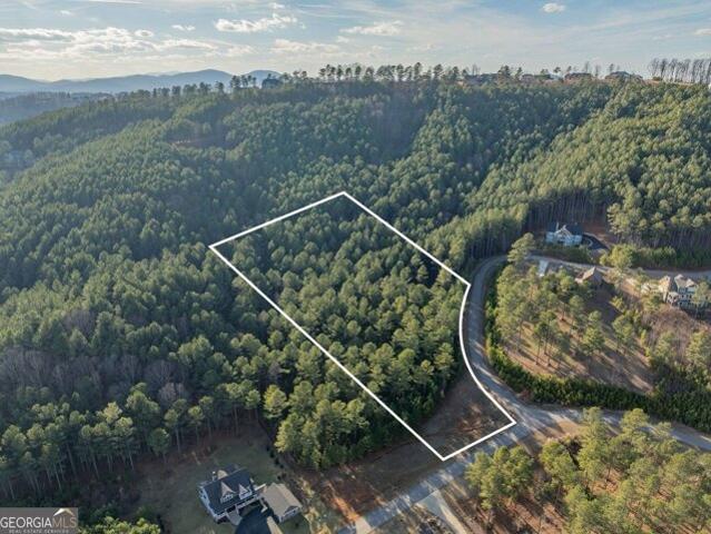 Land for sale in Blairsville