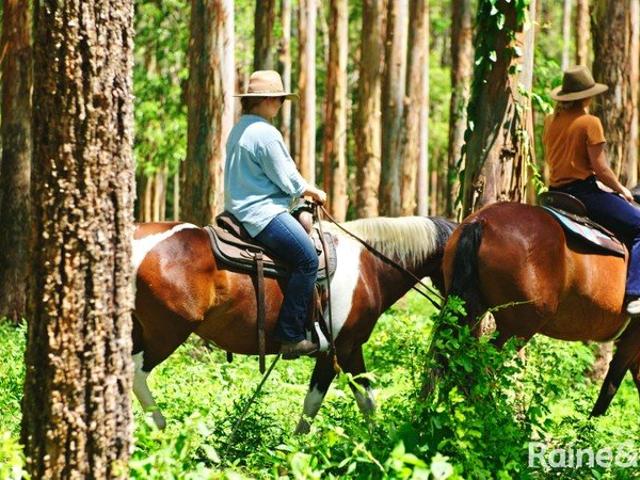 Land for sale in Kunghur, New South Wales