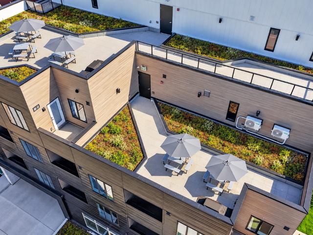 Apartment for rent in Bankview, Calgary
