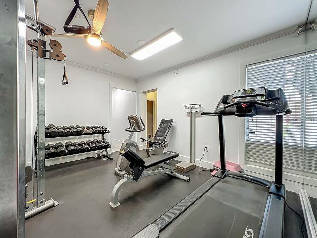 Apartment for rent in Winter Park, Florida