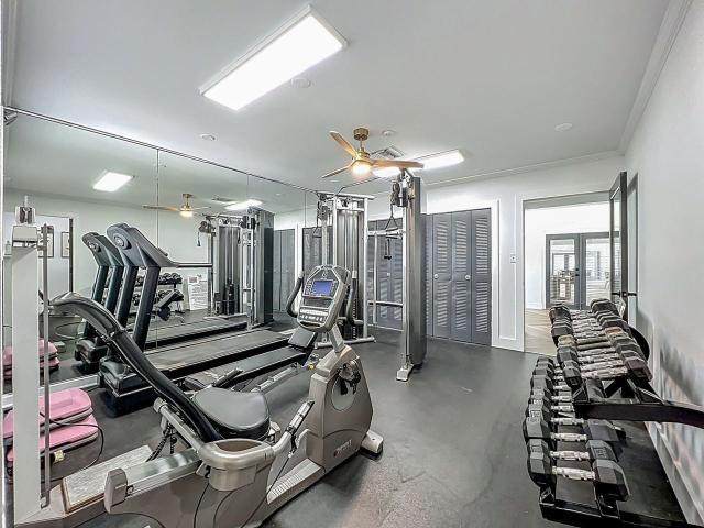 Apartment for rent in Winter Park, Florida