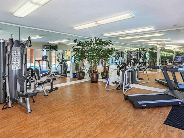 Apartment for rent in Del Mar, California