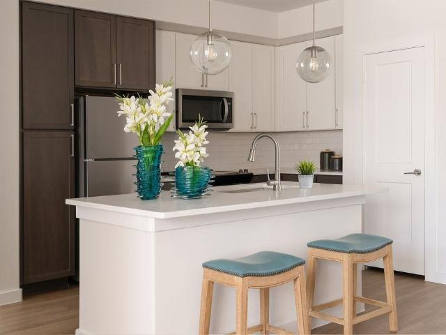 Apartment for rent in Williamson, Texas