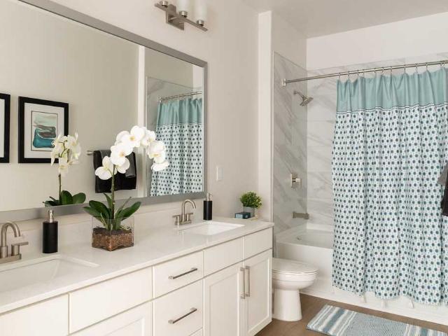 Apartment for rent in Williamson, Texas