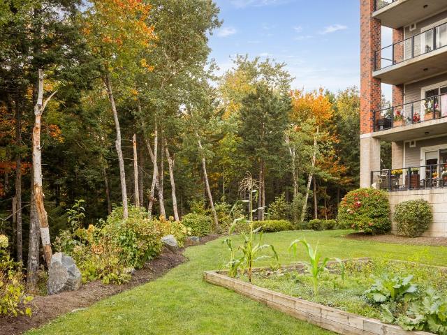 Apartment for rent in Bedford, Nova Scotia