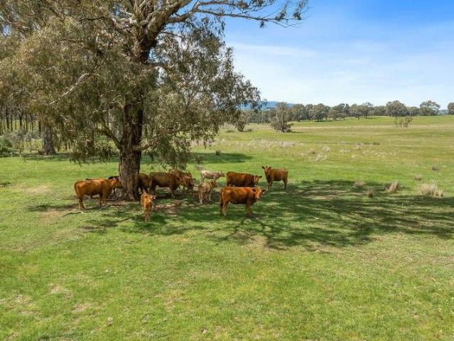 Land for sale in Merton, Victoria