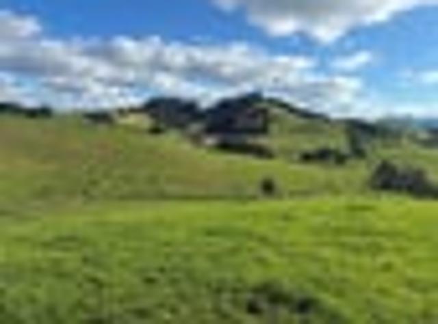 Land for sale in Whangarei, Northland