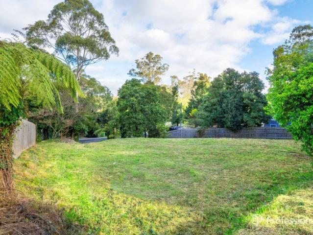 Land for sale in Camerons Creek, Victoria