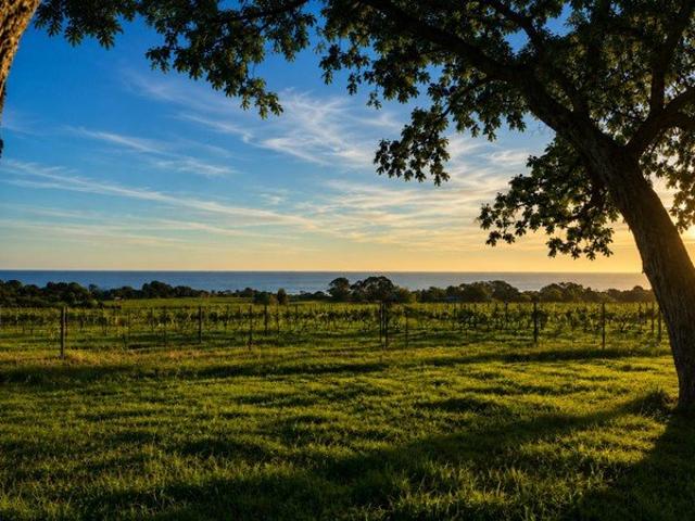 Cottage for sale in Camerons Creek, Victoria