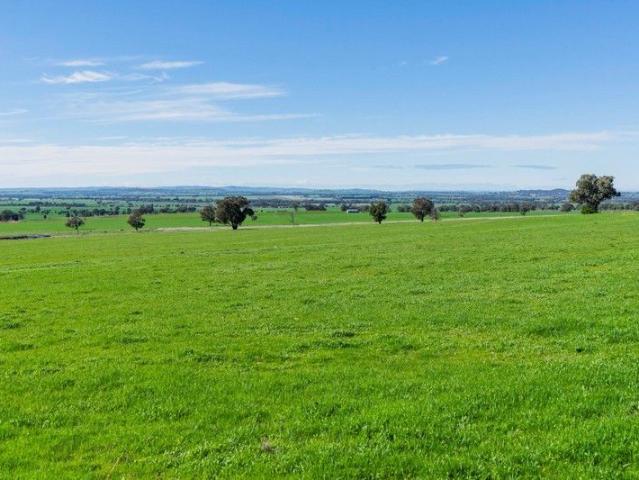Cottage for sale in Belfrayden, New South Wales