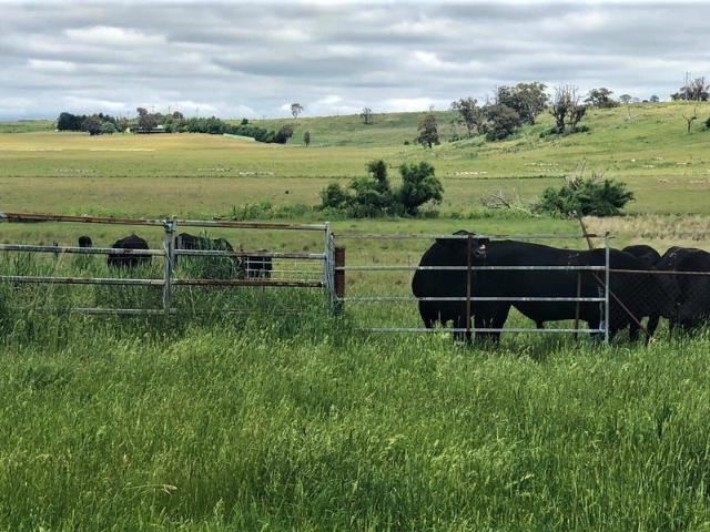 Cottage for sale in New South Wales