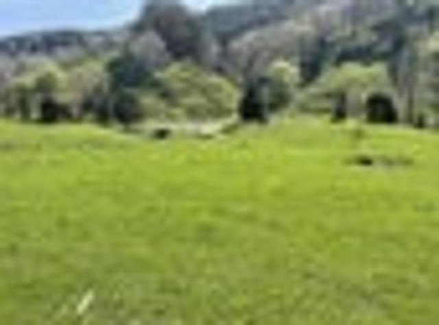 Land for sale in Waikato