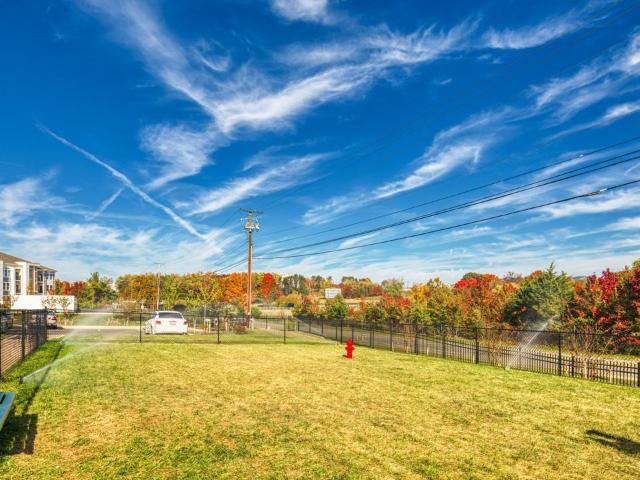 Apartment for rent in Roanoke