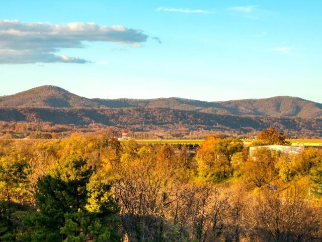 Apartment for rent in Roanoke