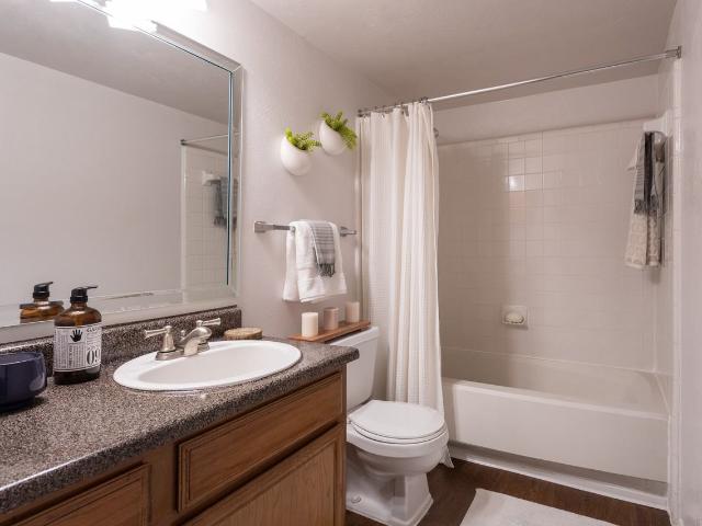 Apartment for rent in Dallas, Texas
