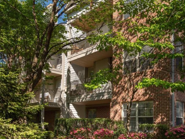 Apartment for rent in Rockville, Maryland