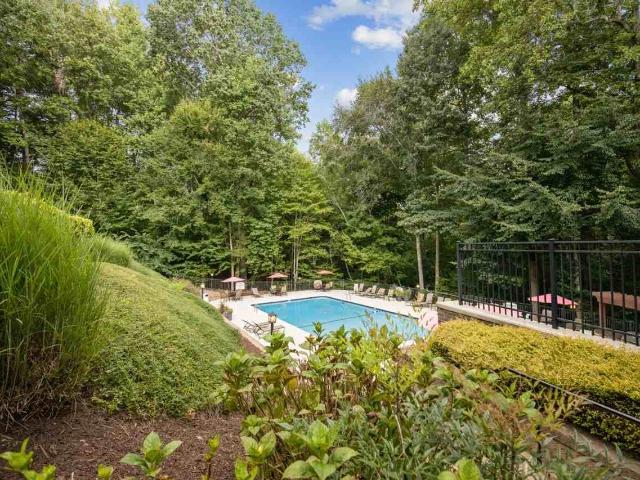 Apartment for rent in Carrboro, North Carolina