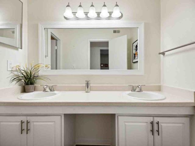 Apartment for rent in Carrboro, North Carolina