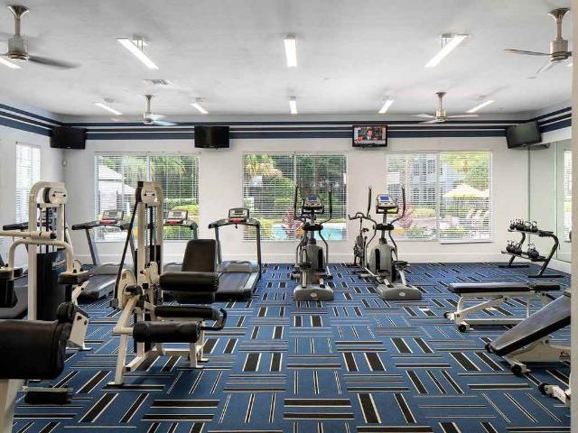 Apartment for rent in Tampa, Florida