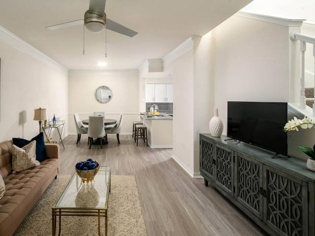 Apartment for rent in Tampa, Florida