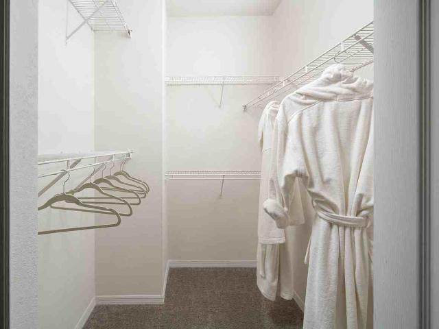 Apartment for rent in Tampa