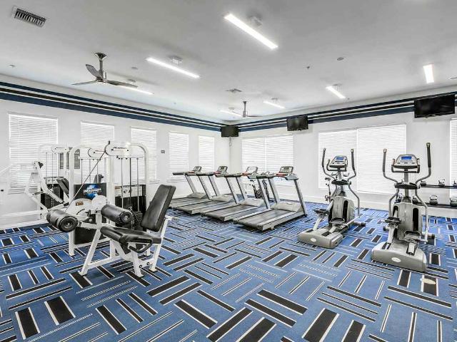 Apartment for rent in Tampa, Florida