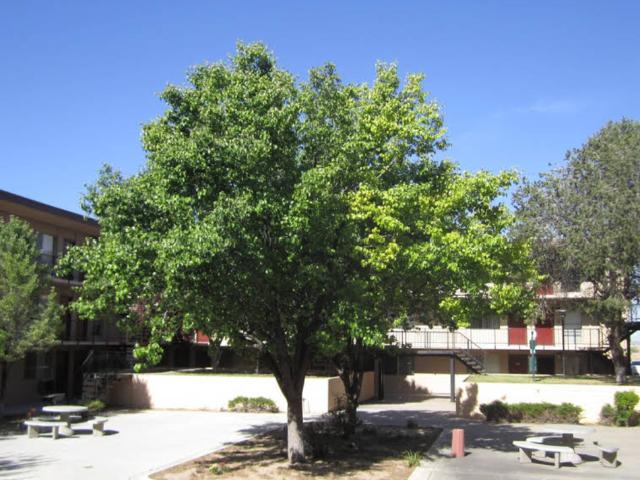 Apartment for rent in New Mexico