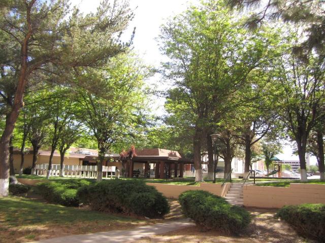 Apartment for rent in Albuquerque
