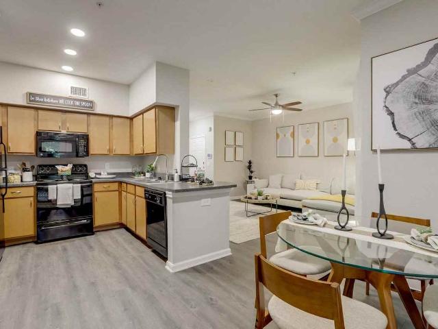 Apartment for rent in Austin, Texas