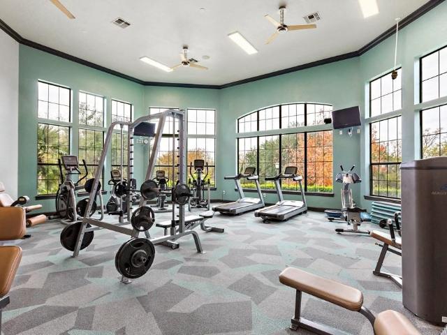 Apartment for rent in Austin
