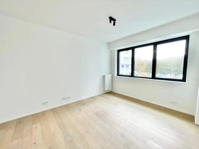 Kot location à Sint-lambrechts-woluwe, Bruxelles