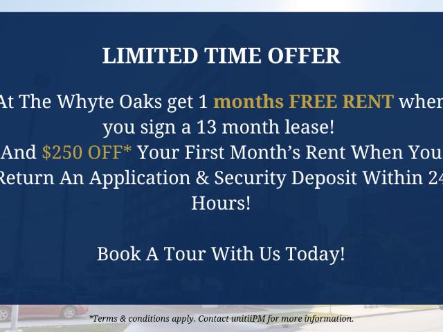 Apartment for rent in Wedgewood, Alberta