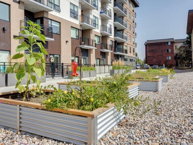 Apartment for rent in Wedgewood, Alberta