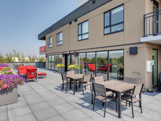 Apartment for rent in Wedgewood, Alberta