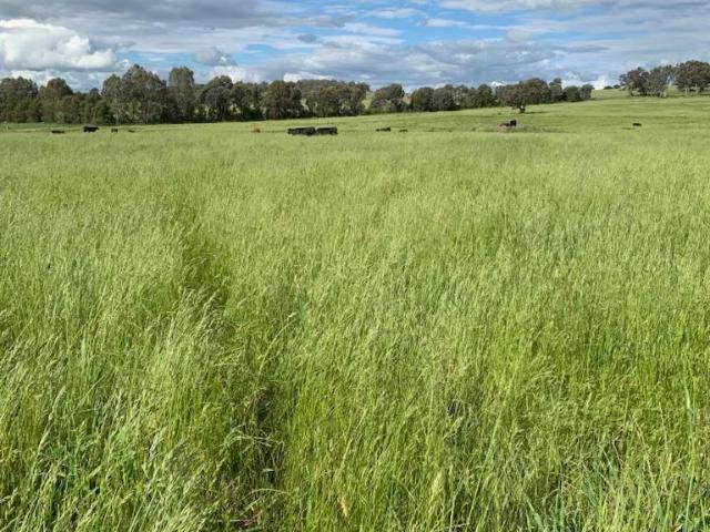 Acreage for sale in Cumnock, New South Wales