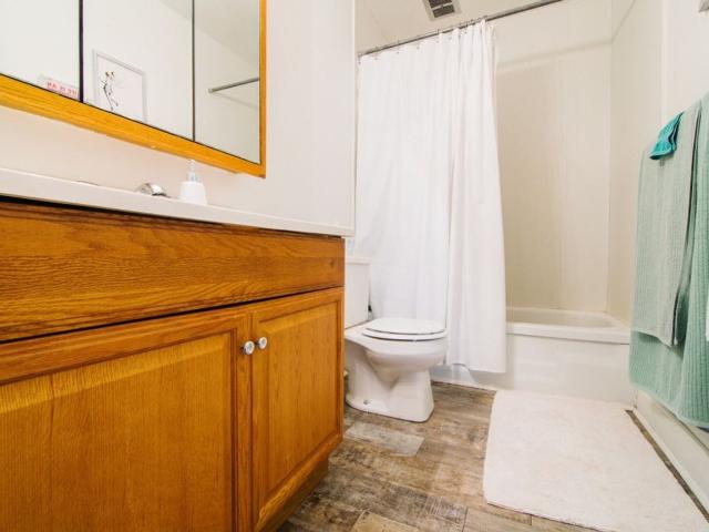 Apartment for rent in Kalamazoo