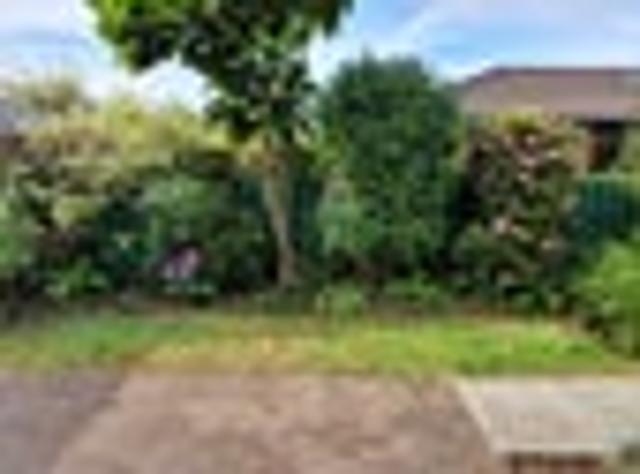 House for rent in The Wood, Nelson Bays