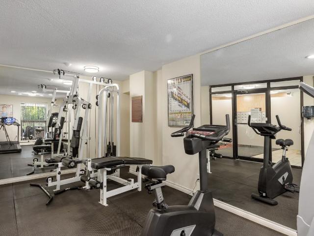 Apartment for rent in Mulhurst Bay, Ontario