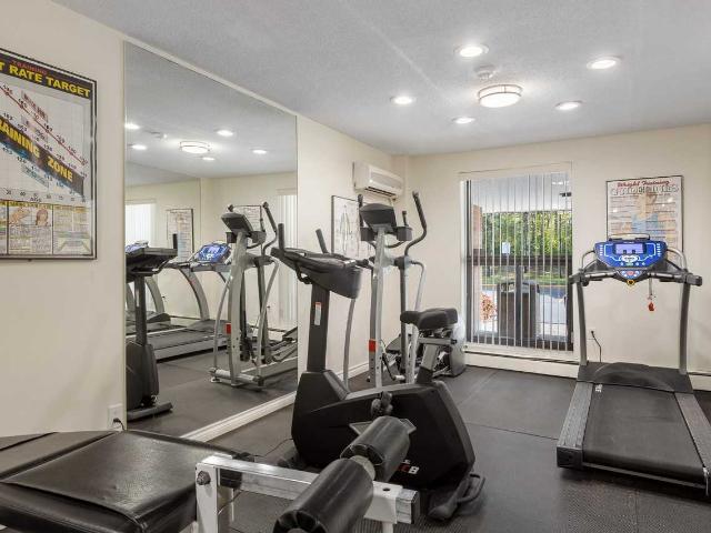 Apartment for rent in Mulhurst Bay, Ontario