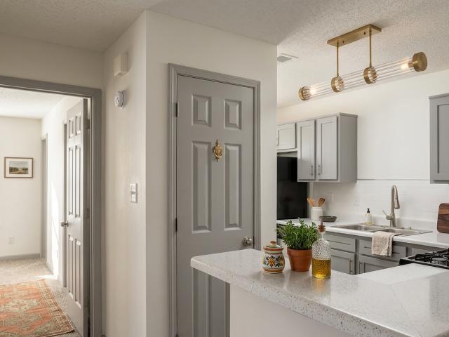 Apartment for rent in Athens, Georgia