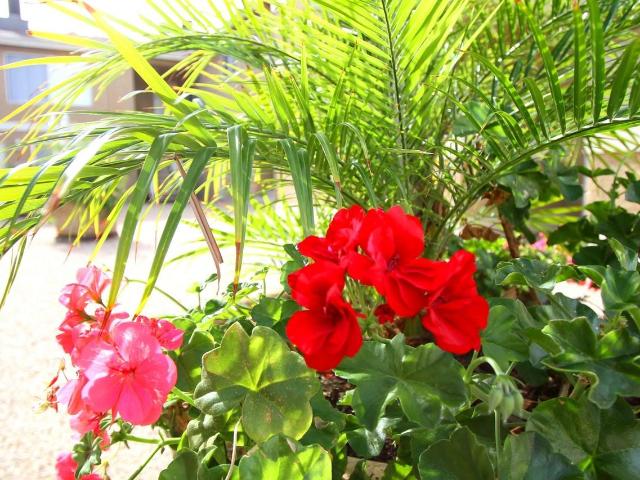 Apartment for rent in Northridge West Neighborhood Council District, Canoga Park