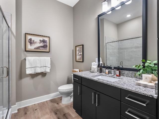 Apartment for rent in River Arts District, Asheville
