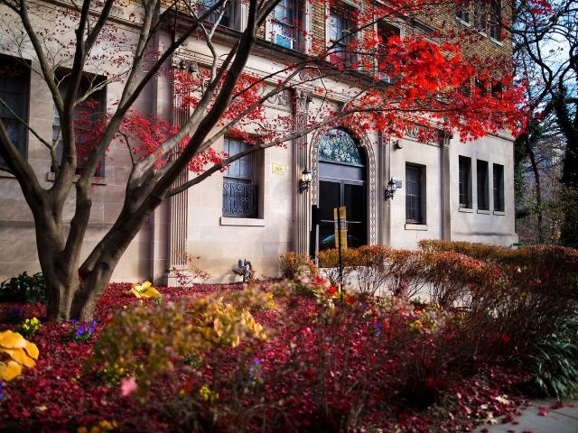 Apartment for rent in Washington, Washington DC