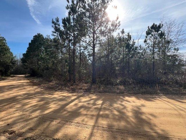 Land for sale in Fitzgerald, Georgia