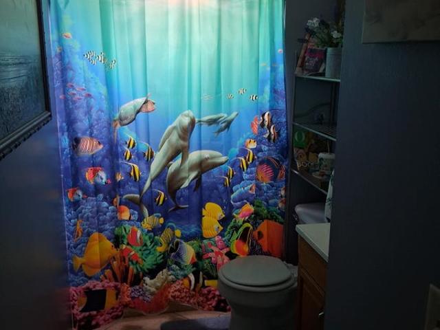 Room for rent in Florida