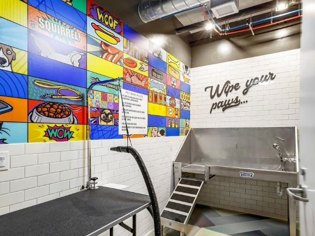 Apartment for rent in Seattle