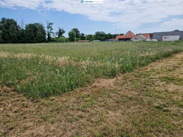 Grundstück kaufen in Theresienfeld, Niederösterreich